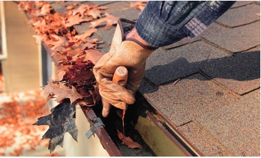 Dakinspectie, reparatie naar keuze met dakgoot/dakkapelreiniging of schoorsteenvegen door Dakpreventie